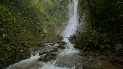 Turismo rural en el mundo