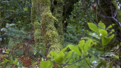 Imagen de De parque en parque: Parque nacional. Islas atlánticas de Galicia - 3
