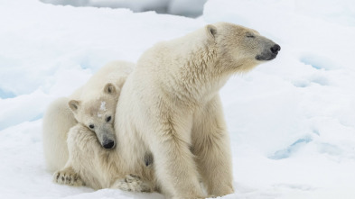 Imagen de Planeta helado II: Cumbres heladas - 3