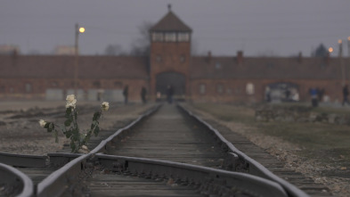 Imagen de Auschwitz: cartas desde el infierno - 3