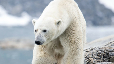 Imagen de Escandinavia salvaje: Agua - 3