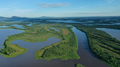 Imagen de Pantanal. El milagro natural de brasil - 3