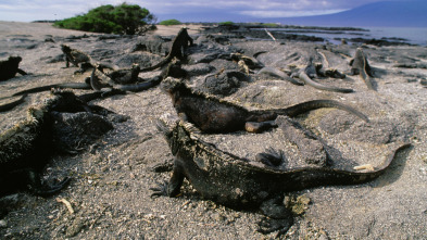 Imagen de Un día en la naturaleza  - 4