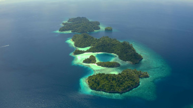 Imagen de El cercle màgic de...: Gegants diminuts: els organismes bentònics - 3