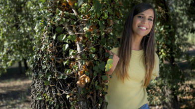 Imagen de ¡Qué animal! (T8): Primates - 3