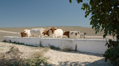 Las rutas D'Ambrosio