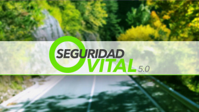 Seguridad vital 5.0