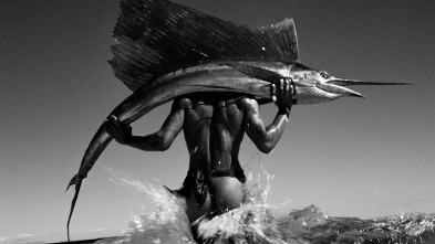 Imagen de Gian paolo barbieri. El hombre y la belleza - 3