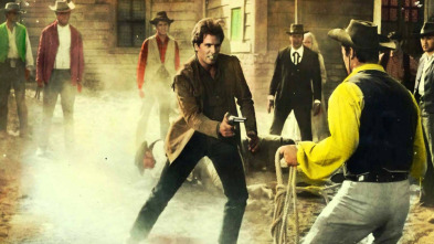 Imagen de Adiós gringo - 5