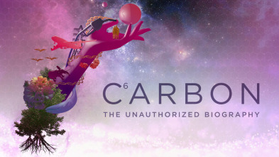 Carbono: la biografia no autorizada