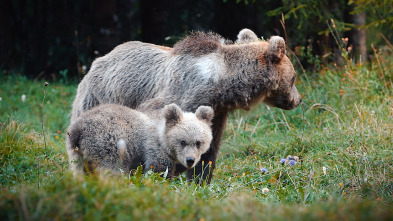 Imagen de Eslovènia salvatge - 3