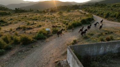 Imagen de El escarabajo verde: Redención - 3