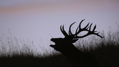 Imagen de Jara y sedal (T25/26): Antes del incendio - 3