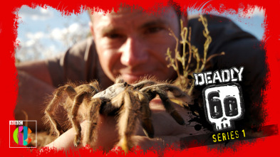 Imagen de Los 60 más mortales  - 4