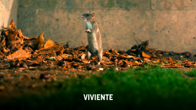 Imagen de Viviente: Segunda Parte. Los Cursos De Agua - 4
