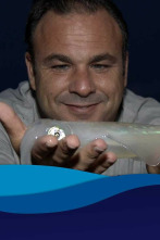 El chef del mar: Doñana