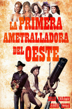Imagen de La primera ametralladora del Oeste - 2