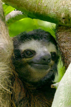 Imagen de Hotspots: Madagascar - 7