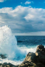 Imagen de El Salvaje Mar Báltico - 2