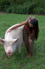 Imagen de ¡Qué animal! (T5) - 2