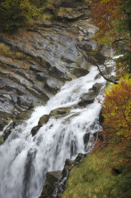 Imagen de De parque en parque: Parque Nacional de Garajonay - 2