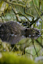 Imagen de Construcción en el...: Arquitectos - 2