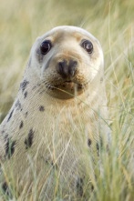 Imagen de Nacidos de la tormenta  - 4