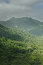 Imagen de Tayrona - 2