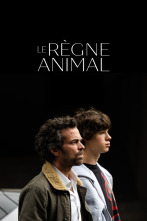 Imagen de El regne animal - 4