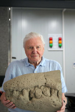 Imagen de Attenborough y el monstruo jurásico - 4