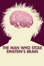 Imagen de El hombre que robó el cerebro de Einstein - 4