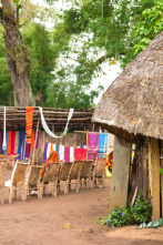 Imagen de Sin equipaje  - 2