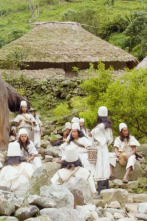 Imagen de La línea negra - 2