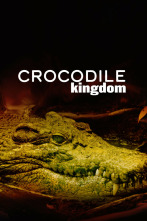 Imagen de El reino de los cocodrilos - 4