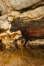 Los secretos de los hombres de Lascaux