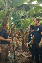 Imagen de Yo soy de formación...: Pais Vasco/Navarra - 2