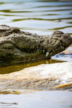 Imagen de Del amanecer al crepúsculo - 2