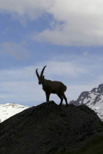 Imagen de El tiempo de una vida - 2