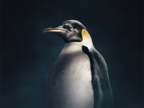 Imagen de Dinastías - 1