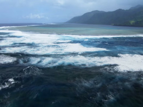 Imagen de Mindful Earth: Respirar - 1