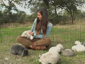Imagen de ¡Qué animal! (T5) - 1