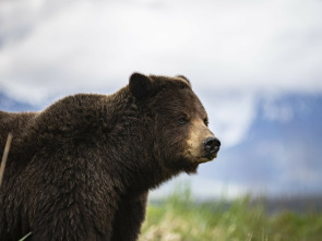 Imagen de Edén: paraísos remotos: Luangwa: el valle esmeralda - 1
