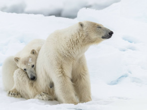 Imagen de Planeta helado II: Cumbres heladas - 1