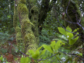 Imagen de De parque en parque: Parque Nacional Sierra de Guadarrama - 1