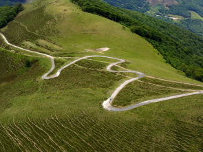 Imagen de Caminos de...: Camino francés 1 - 1