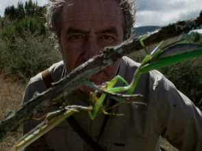 Imagen de Cuaderno de campo: Cigüeñas - 1