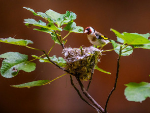 Imagen de La Jayona un Nuevo Mundo Enterrado - 1