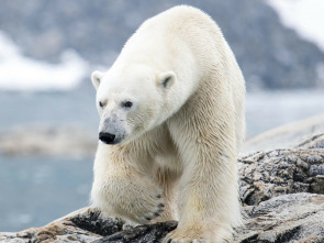 Imagen de Escandinavia salvaje: Agua - 1