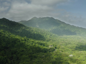 Imagen de Tayrona - 1