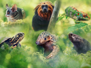 Imagen de Pequeños viajes animales: Ep.3 - 1